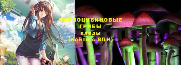 мдпв Сафоново
