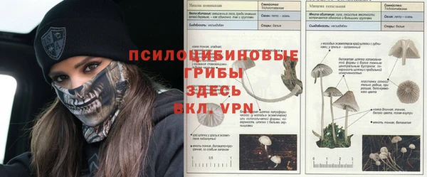 герыч Алексеевка