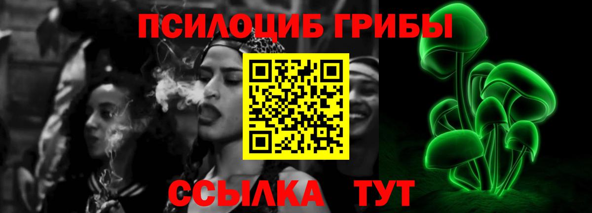 Псилоцибиновые грибы MAGIC MUSHROOMS  Вход с VPN  Балабаново 